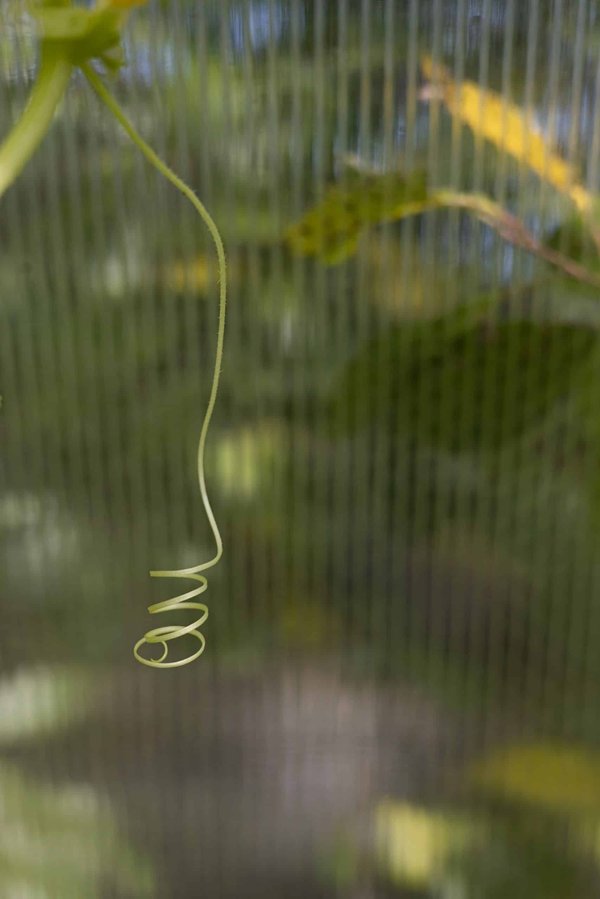 What Are the Key Points for Developing Age-Friendly Housing in the UK Real Estate Market?