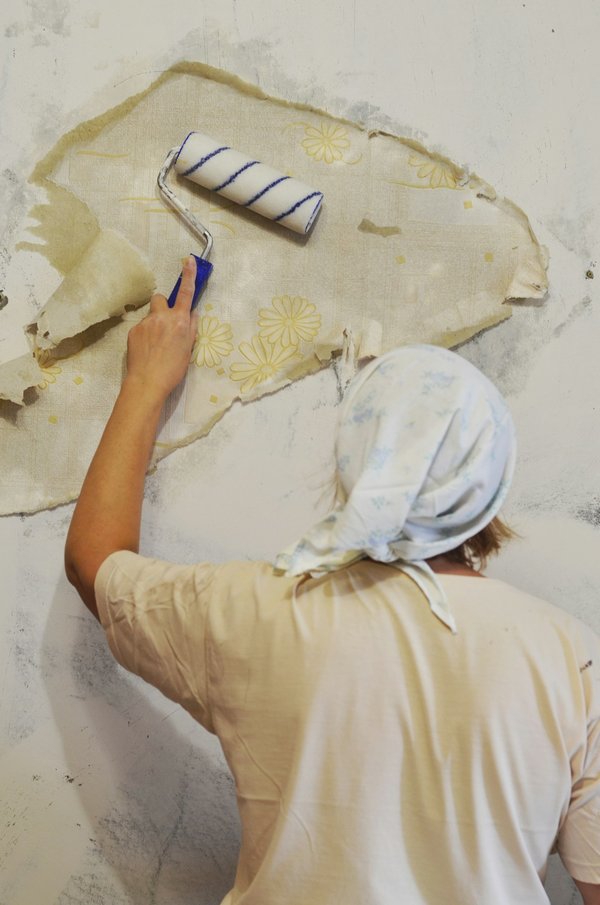 Essential home improvement tips for your fall gardening success